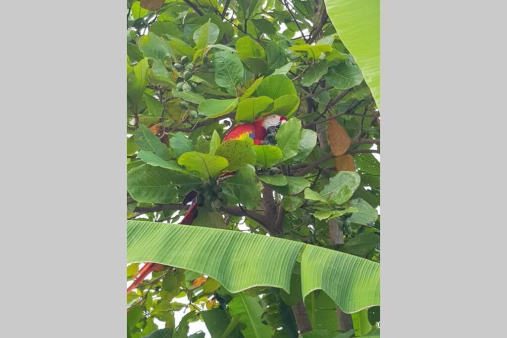 Depto. Maia: A/C, Agua Caliente, Wifi, Tv, Cable. Apartment Palenque Exterior photo